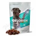 Geloren Dog L/XL kloubn viva 60 vkacch el